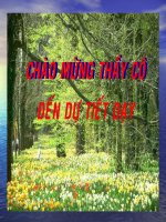 TNXH bài con cá - Có điều chỉnh