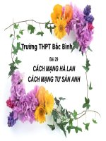 Cach mạng Hà Lan, CMTS Anh