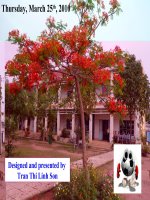 E 10: Unit 14: Reading