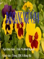 Tiết 105 - Thuế máu