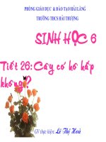 Sinh 6 tiết 26