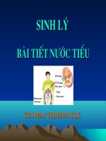 Sinh lý bài tiết nước tiểu