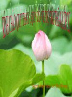 14 trừ đi một số - Toán 2