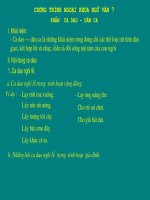 Ngoại khóa ngữ văn 7