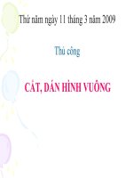 cat hinh chu nhat