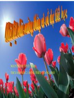 Duc tinh gian di cua Bac Ho