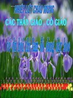 ©Chn dung cac nha tho lop 9