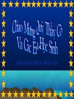 Tiết 145:Rô Bin Sơn ngoài đảo hoang