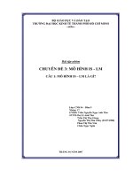 chuyên đề mô hình is - lm