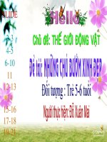 Những chú bướm xinh đẹp