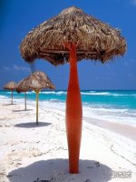 tiet 57 he thuc vi ét - ap dung