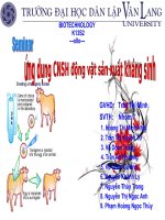 CNSH sản xuất kháng sinh