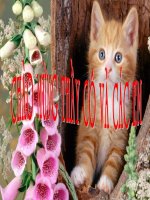 Bai 14: Kiểu  bản ghi