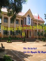 Hoa 8 Tiết 55: Axit - Bazo - Muôi(tuyệt...)