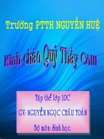 bài 7 tế bào nhân  sơ