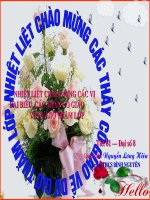 BPT bac nhat mot an(GVG)