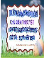 PTNN-Hoa kết trái