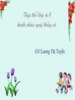 Cuộc khẩn hoang ở Đàng Trong