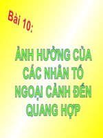 bài 10 ảnh hưởng của các nhân tố ngoại cảnh đến quang hợp