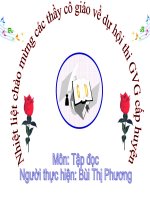 Bàn tay cô giáo (tham khảo)