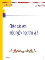 Tong ket ve tu tiet 43,44.ppt