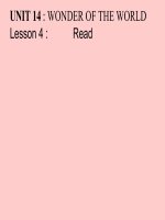 ENGLISH 8 - unit 14 - lesson 4 - read