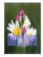 nguyên lí II nhiệt động lực học thi gvg