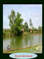 Tiet 109; Cay tre viet nam