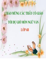 Các TP chính của câu (tỉnh)