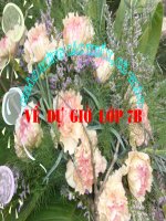 Tiet 59 Da thuc mọt bien