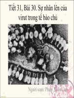 bài 30. Sự nhân lên của virut trong tế bào chủ