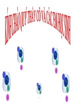 Bai 1: Dai luong ti le thuan