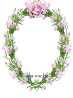 luyen tập tiết 63 dai so 8