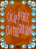 bài 1 các cấp tổ chức thế giới sống