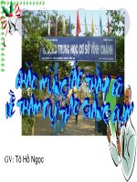 LỰA CHỌN TT TỪ TRONG CÂU (CHỈNH SỬA)