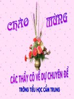 vua tau thuy bach thai buoi