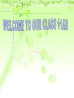 e11, unit 13 listening