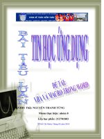 Tìm hiểu VBA và Macro trong Word
