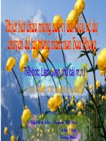 Làm quen với chữ cái l,m,n