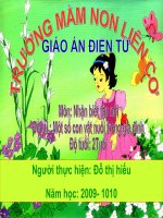 CON VẬT TRONG GIA ĐÌNH