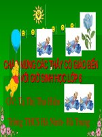 tiết 53- Phân loại thực vật