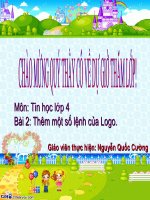 Them mot so lenh cua Logo