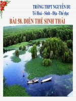 Bài 58. Diễn thế sinh thái(Nâng cao)