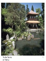 Ôn tập về dấu câu( Dấu phẩy)