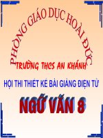 Tiết 65 :Ông đồ