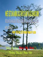 TOAN LOP 3 TUAN 30 TIET 147