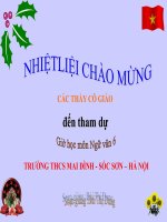 T119: Ôn tập văn miêu tả