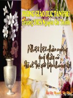 Bài 20: THÊM HÌNH ANH ĐỂ MINH HỌA (TIẾT 1)