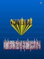 Chuyên đề lịch sử 4-5