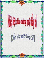 chiến thắng điện biên phủ trên không